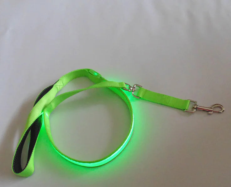 LED Leash