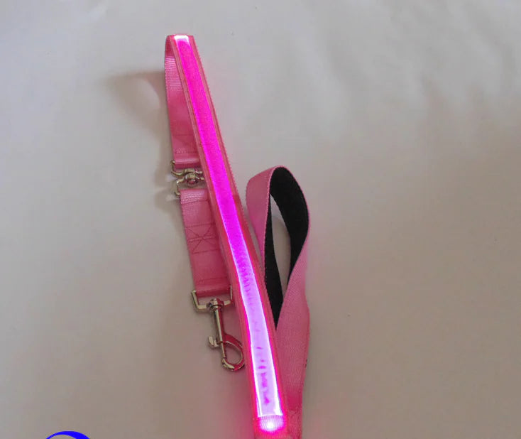 LED Leash