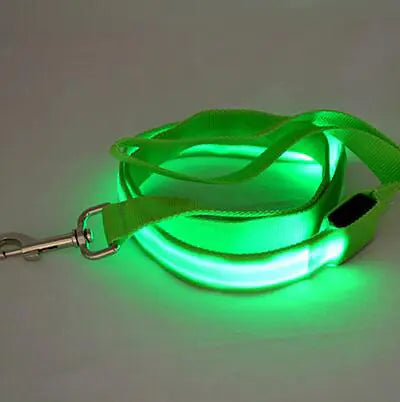 LED Leash