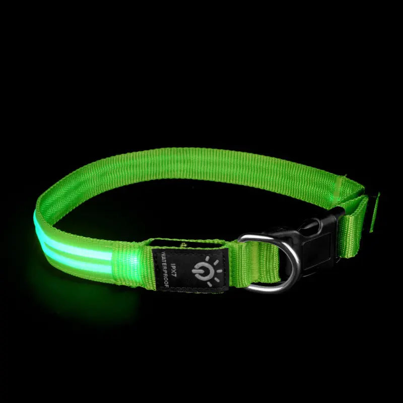 LED Waterproof Collar