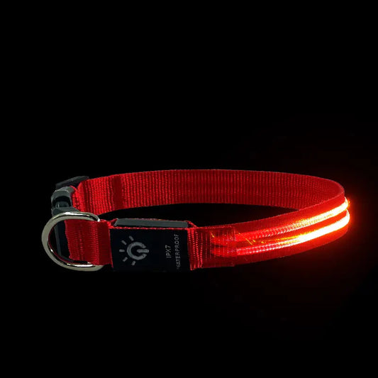 LED Waterproof Collar