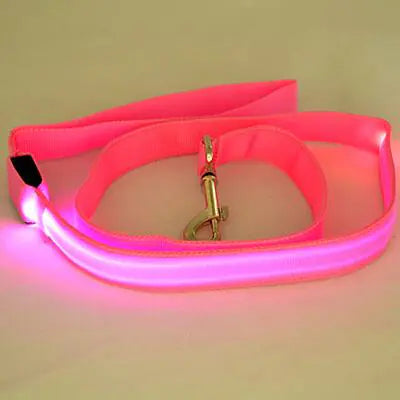 LED Leash